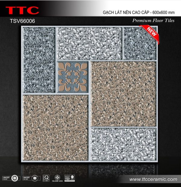 TSV66006