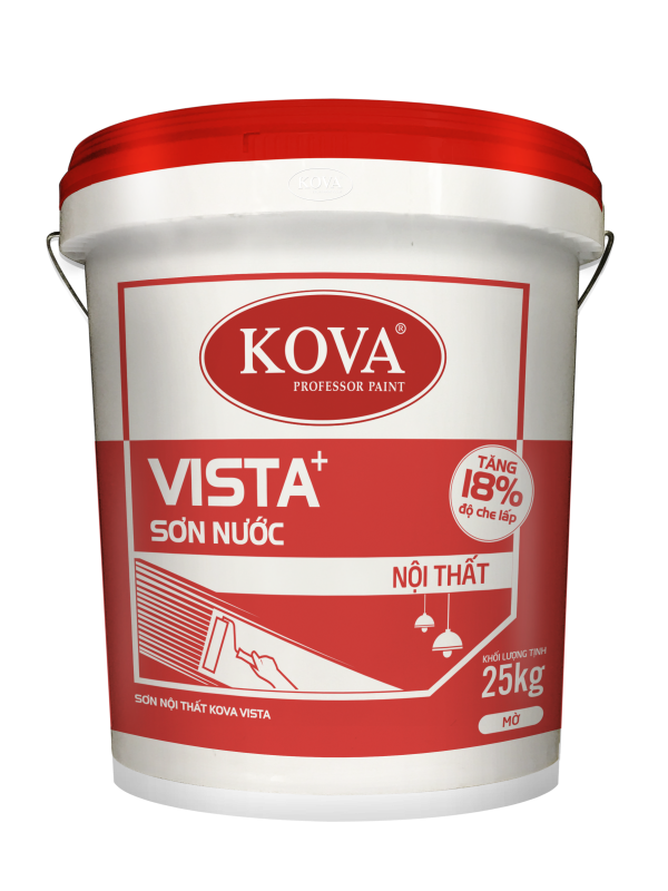mockup 5gal VISTA 25kg