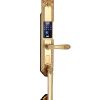 KL 979 GOLD